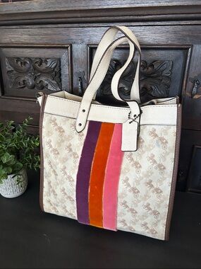 Beautiful Signature Canvas Tote with Purple, Orange & Pink Velvet Stripes